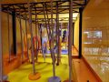 Ninja-zone-le-havre-ArtSport-Cafe-23-rotated