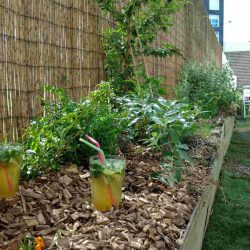 IMG_20180417_144816976-1