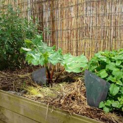 IMG_20180417_145640840